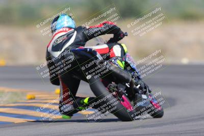 media/Oct-01-2023-SoCal Trackdays (Sun) [[4c570cc352]]/Turn 14 Backside (1120am)/